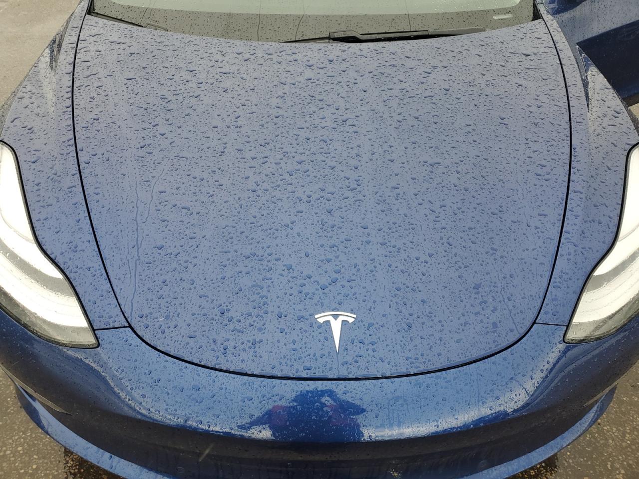 2020 Tesla Model 3 VIN: 5YJ3E1EB3LF664491 Lot: 64806165
