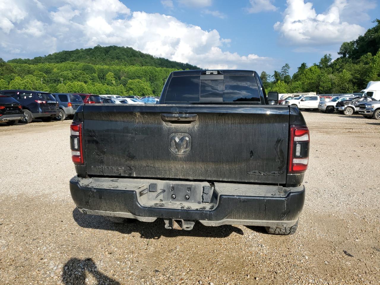 2024 Ram 3500 Limited VIN: 3C63R3RL1RG174869 Lot: 62548685