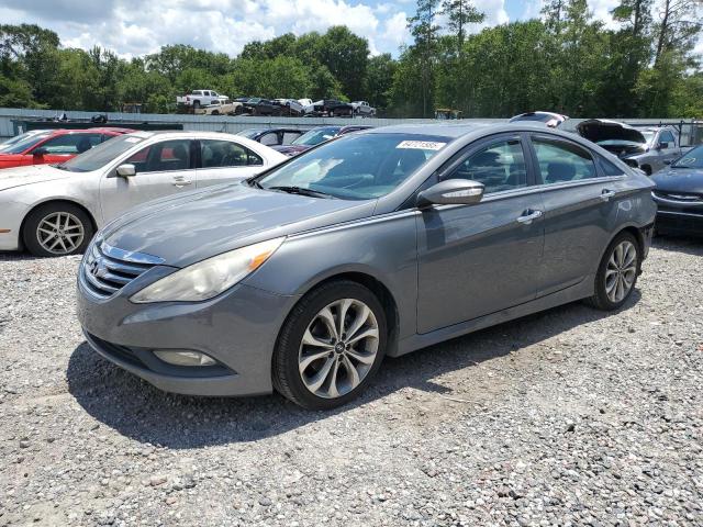Sedans HYUNDAI SONATA 2014 Szary
