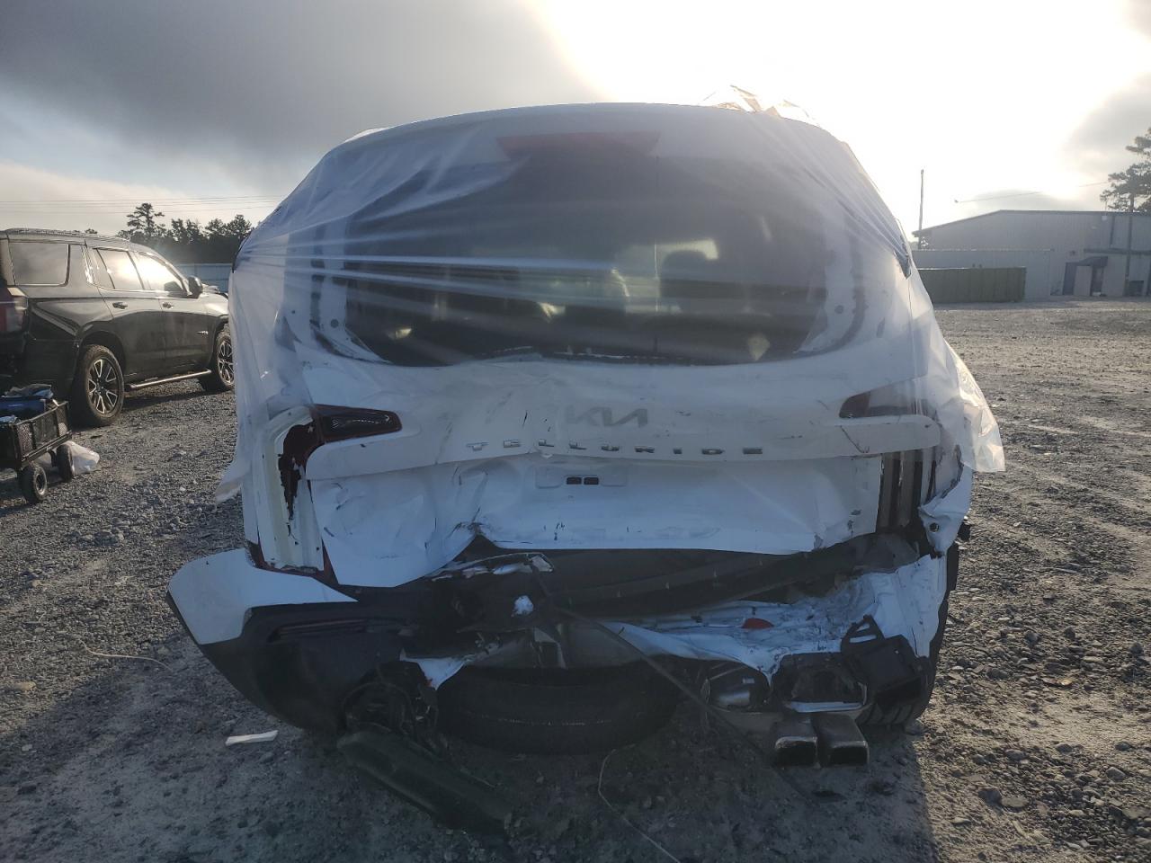 2022 Kia Telluride Sx VIN: 5XYP54HC3NG313065 Lot: 64785785