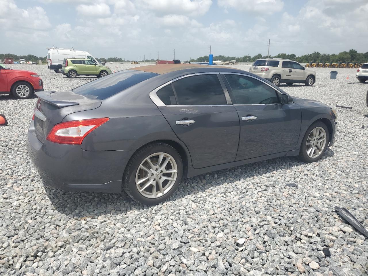 2010 Nissan Maxima S VIN: 1N4AA5AP3AC800789 Lot: 66358335