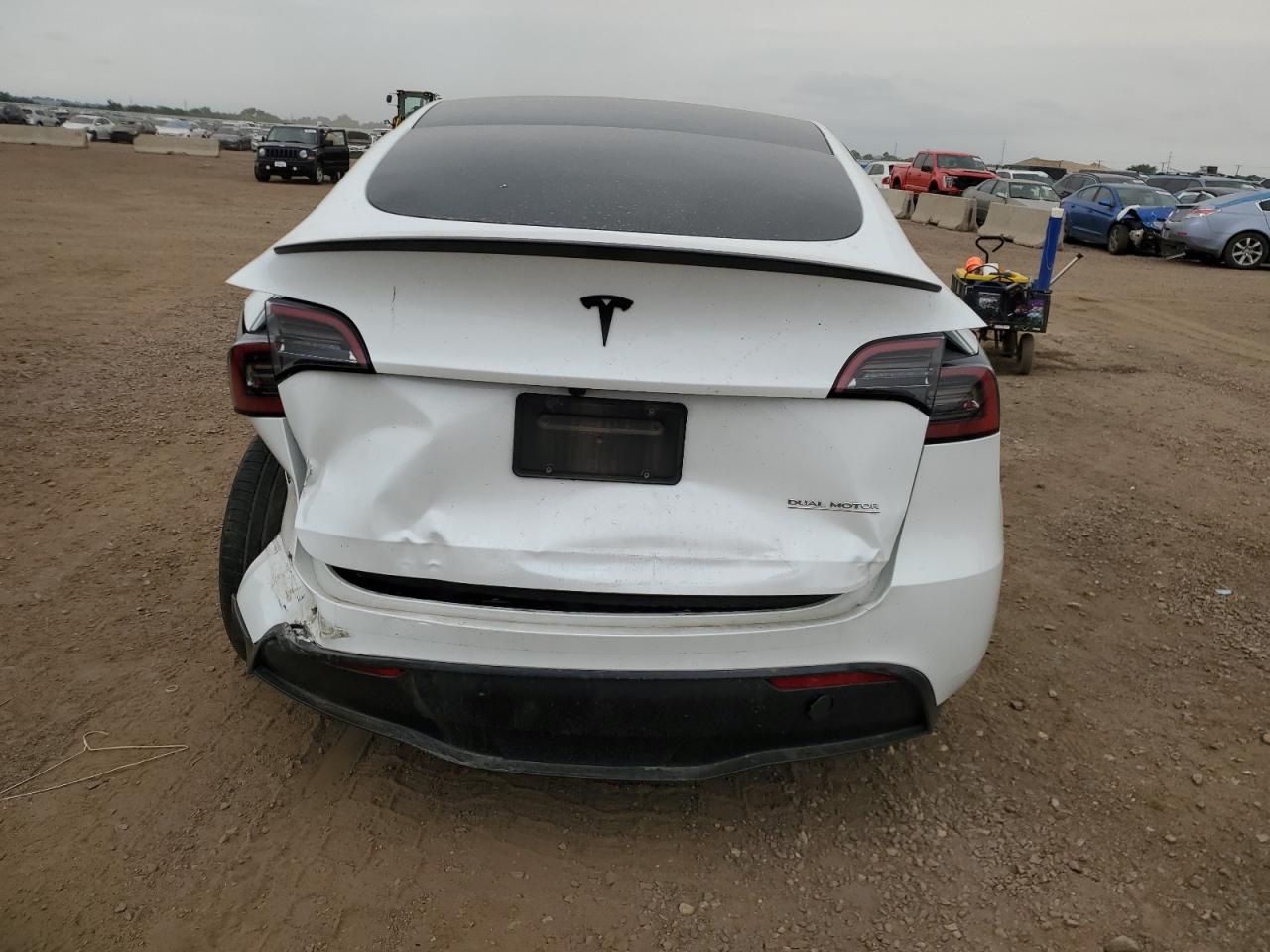 2023 Tesla Model Y VIN: 7SAYGDEF8PF869902 Lot: 64584475