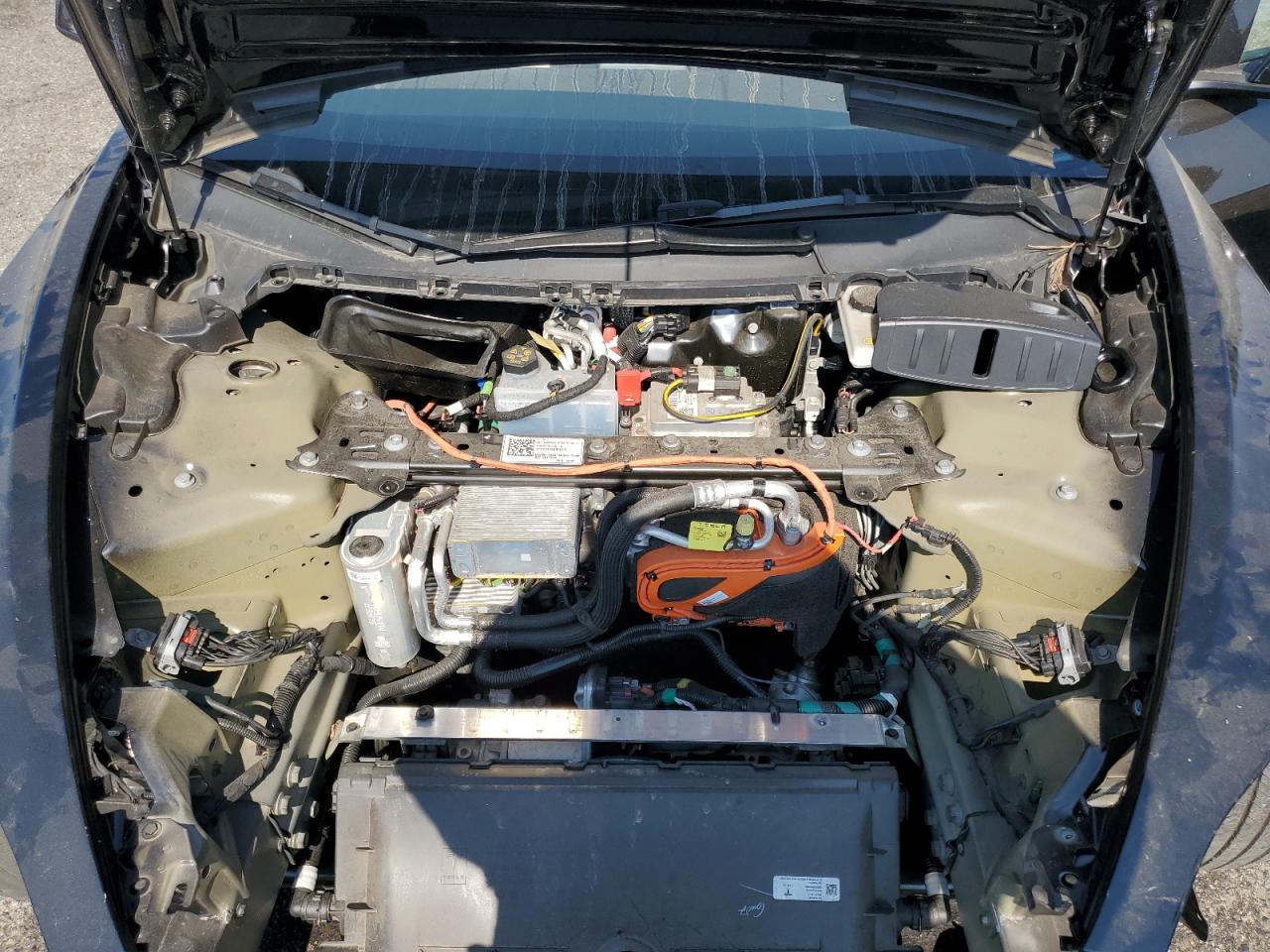 2023 Tesla Model 3 VIN: 5YJ3E1EA8PF565520 Lot: 64574935