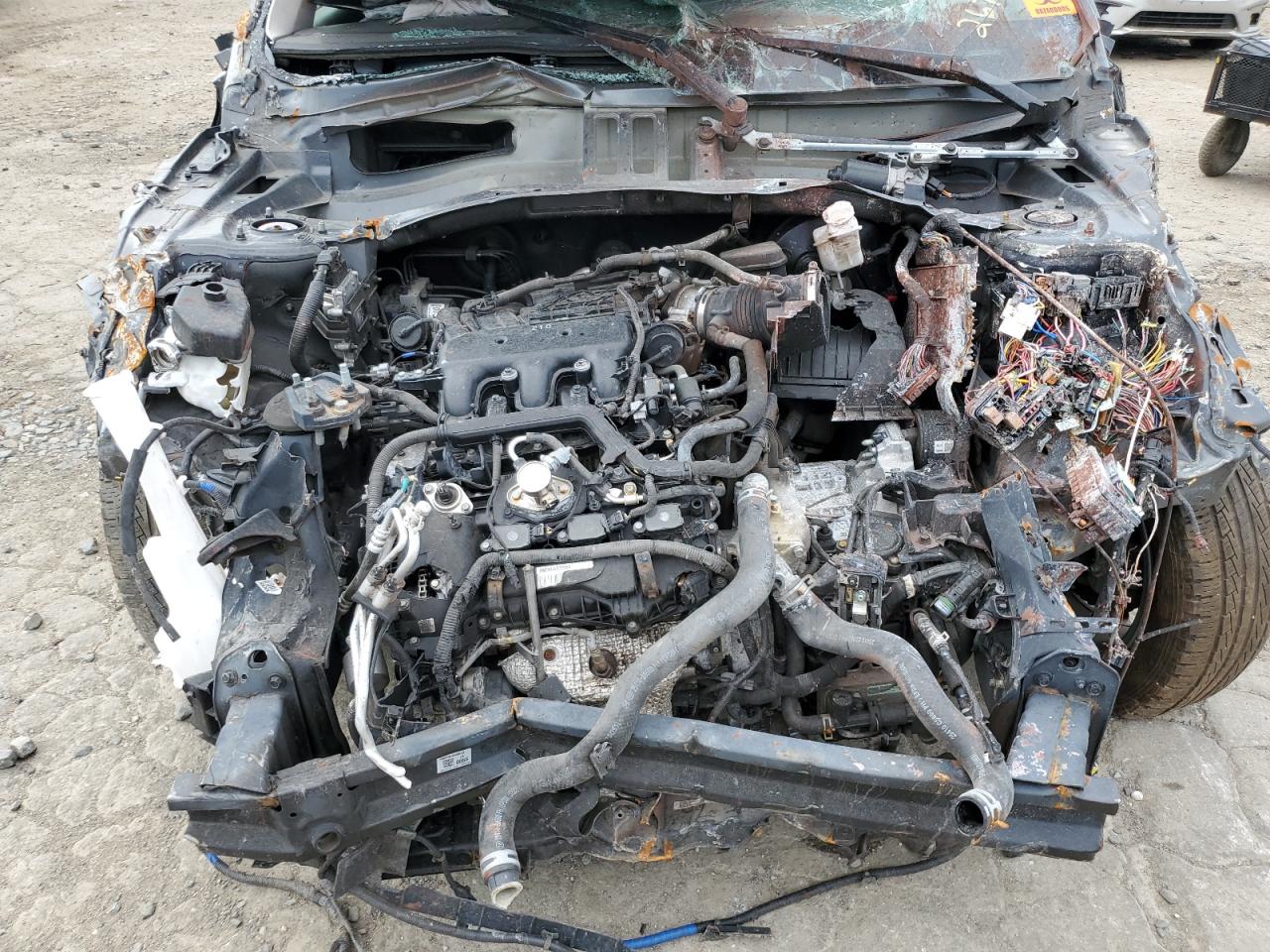 2020 Hyundai Palisade Sel VIN: KM8R3DHE1LU131520 Lot: 64320425