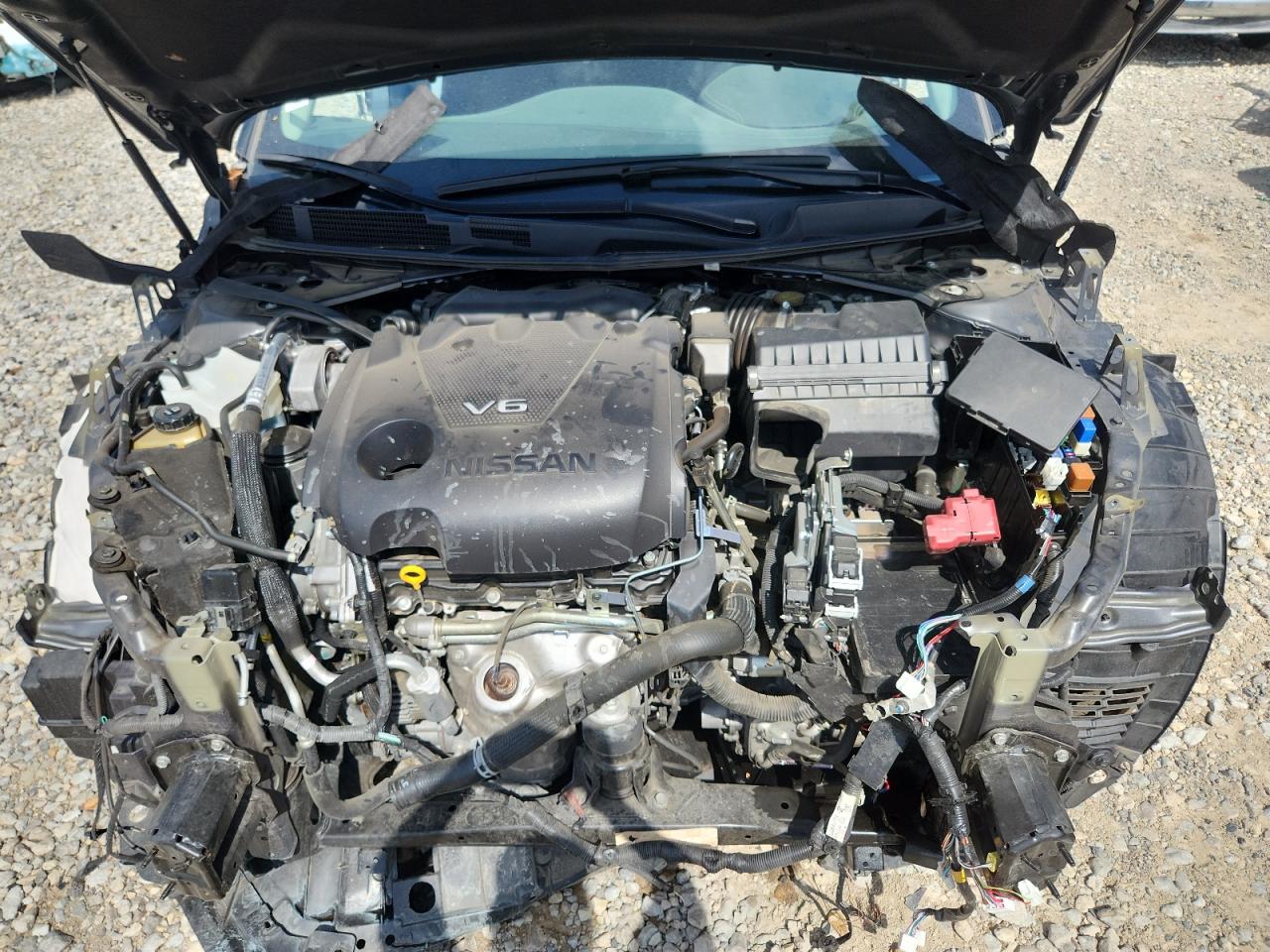 2019 Nissan Maxima S VIN: 1N4AA6AV8KC377603 Lot: 64994005