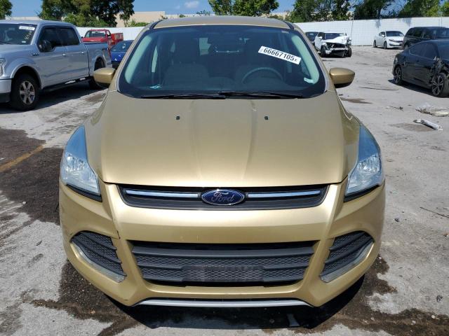 Parquets FORD ESCAPE 2014 Złoty