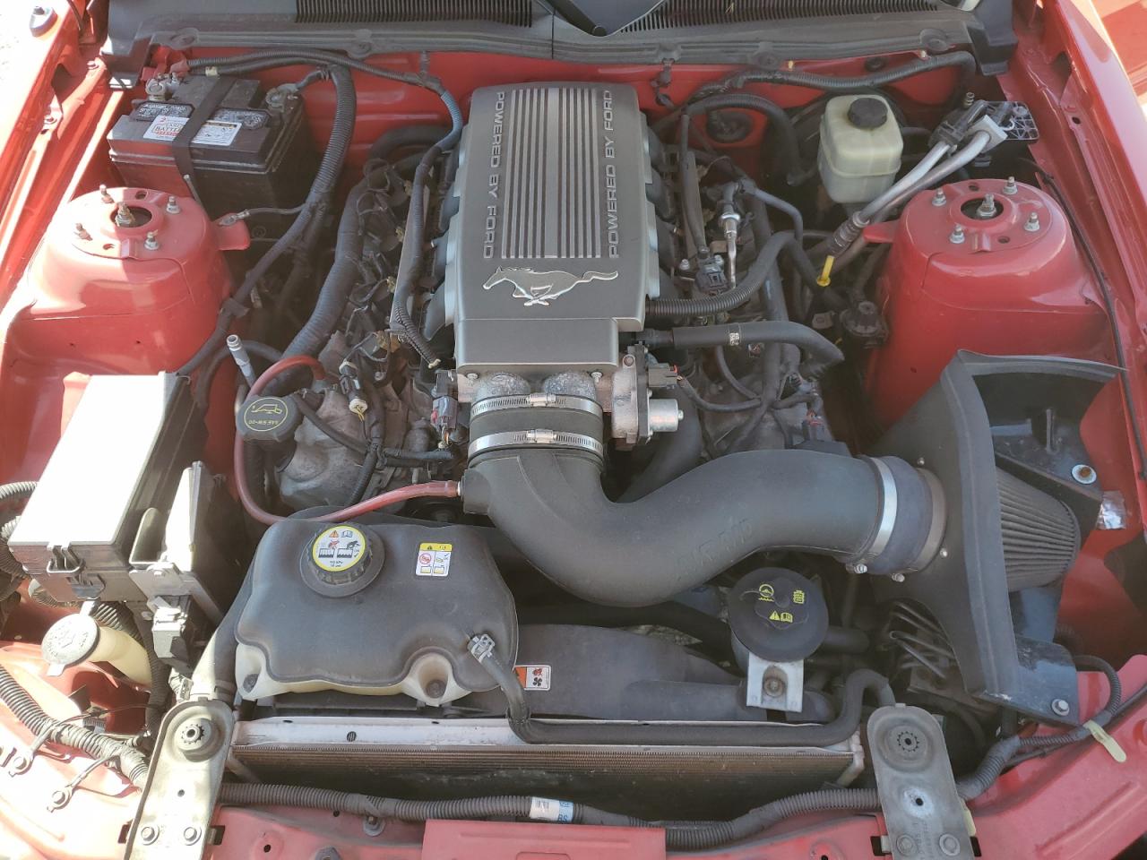 2008 Ford Mustang Gt VIN: 1ZVHT82H385177679 Lot: 65251685