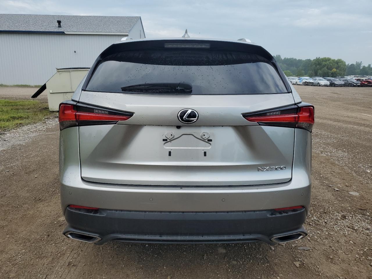 2020 Lexus Nx 300 VIN: JTJDARDZXL5015637 Lot: 64576755