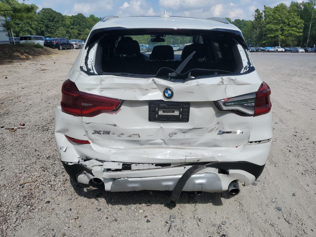 2019 BMW X3 Sdrive30I VIN: 5UXTR7C52KLR43817 Lot: 66211275