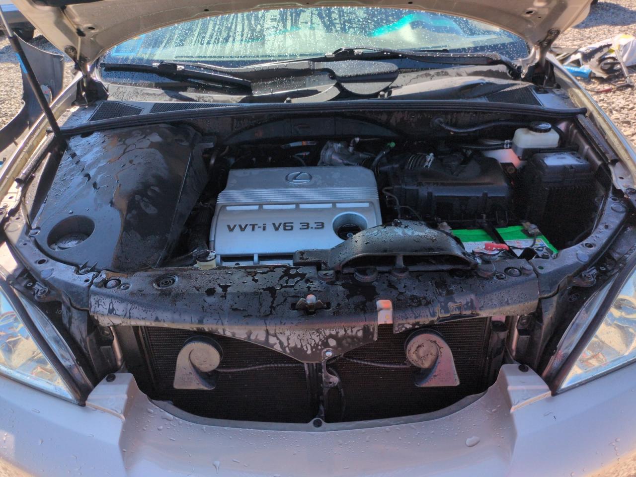 2004 Lexus Rx 330 VIN: JTJHA31U840013603 Lot: 64985985