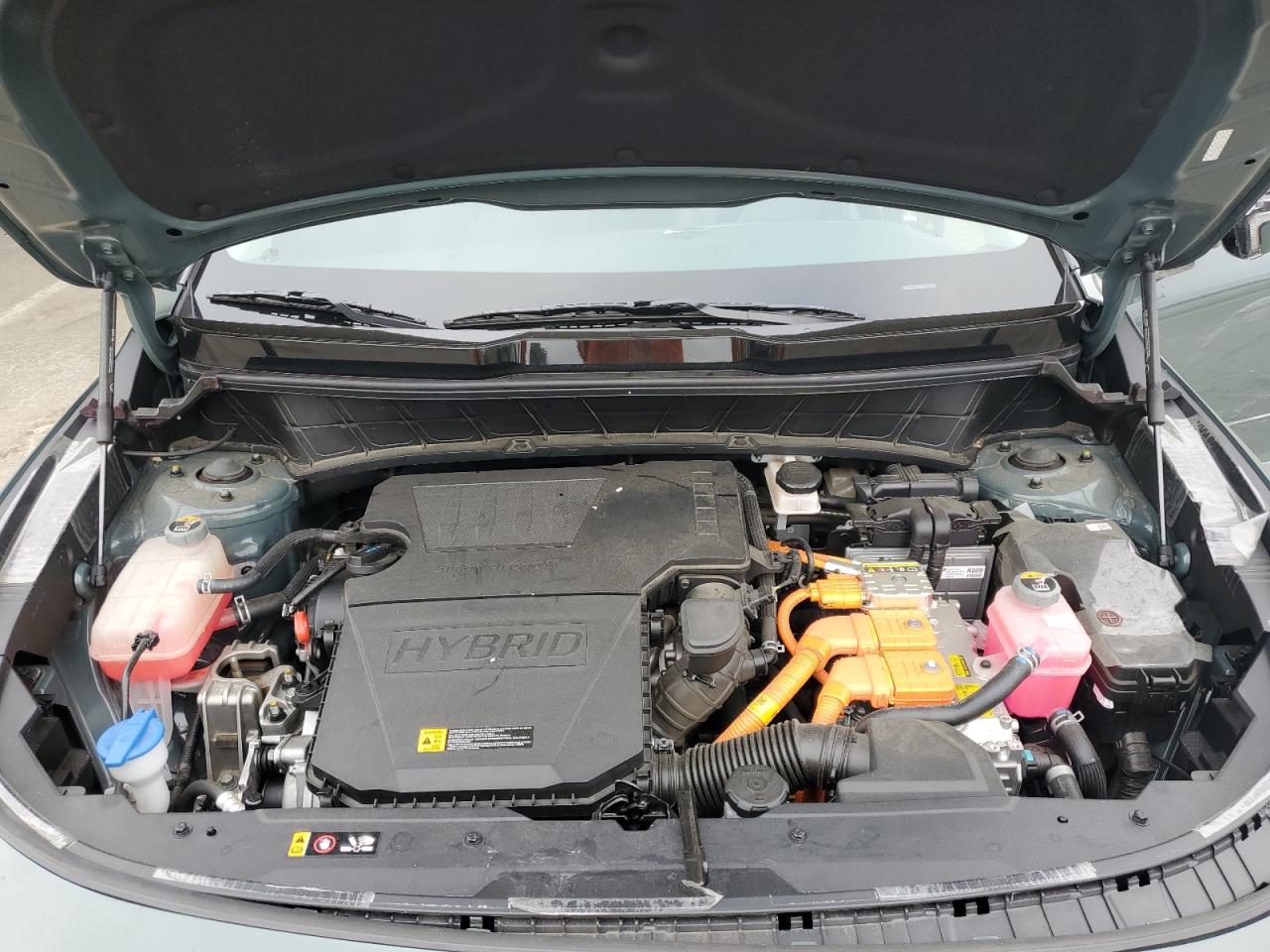 2024 Kia Niro Sx VIN: KNDCT3LE3R5125166 Lot: 65085895