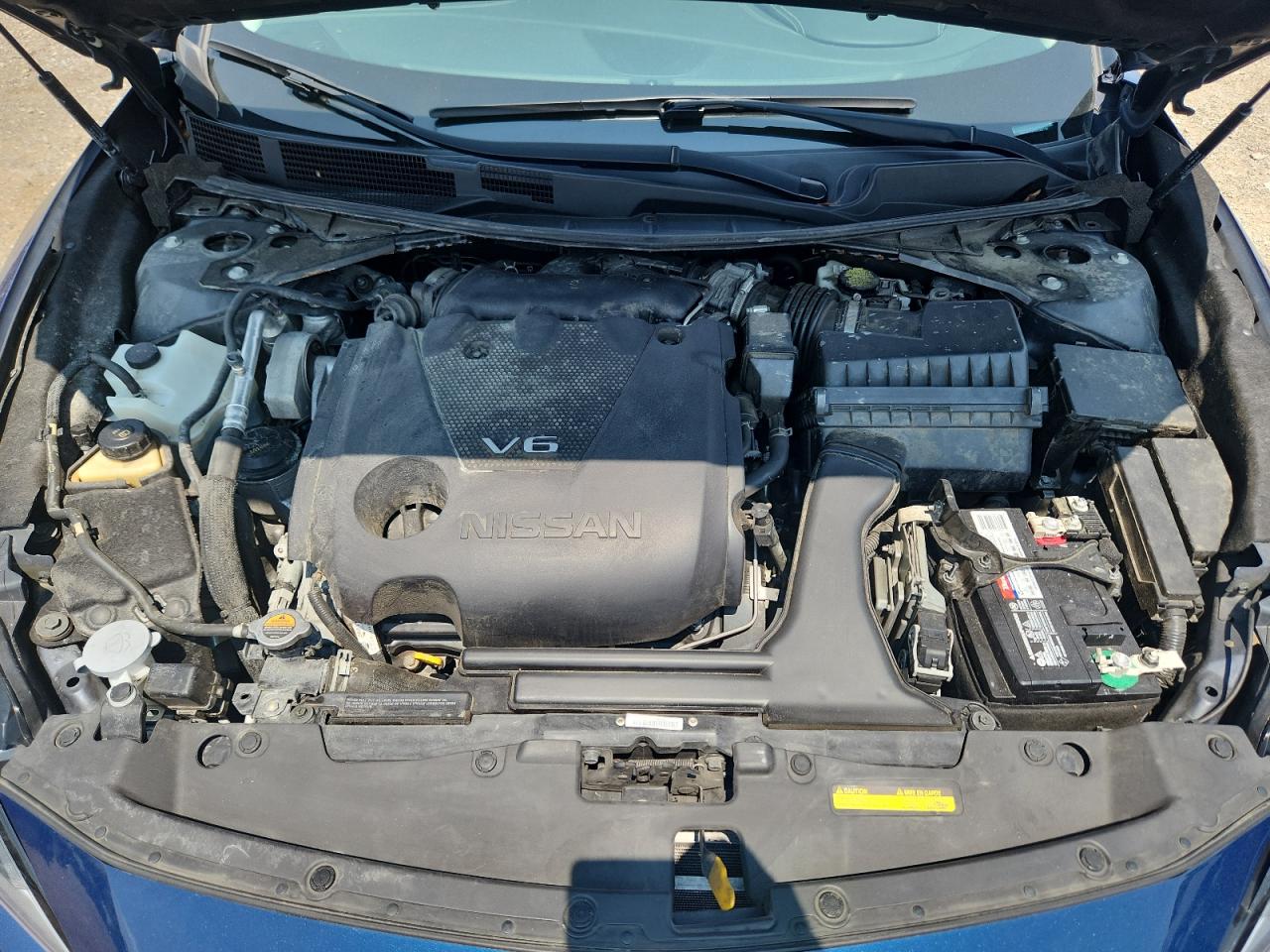 2021 Nissan Maxima Sv VIN: 1N4AA6CV0MC505719 Lot: 66814325