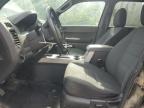 2011 FORD ESCAPE XLT   for sale at Copart ON - COOKSTOWN