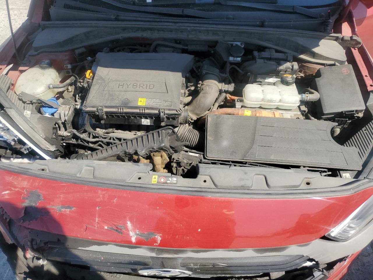 2019 Hyundai Ioniq Blue VIN: KMHC65LC9KU174333 Lot: 62893355