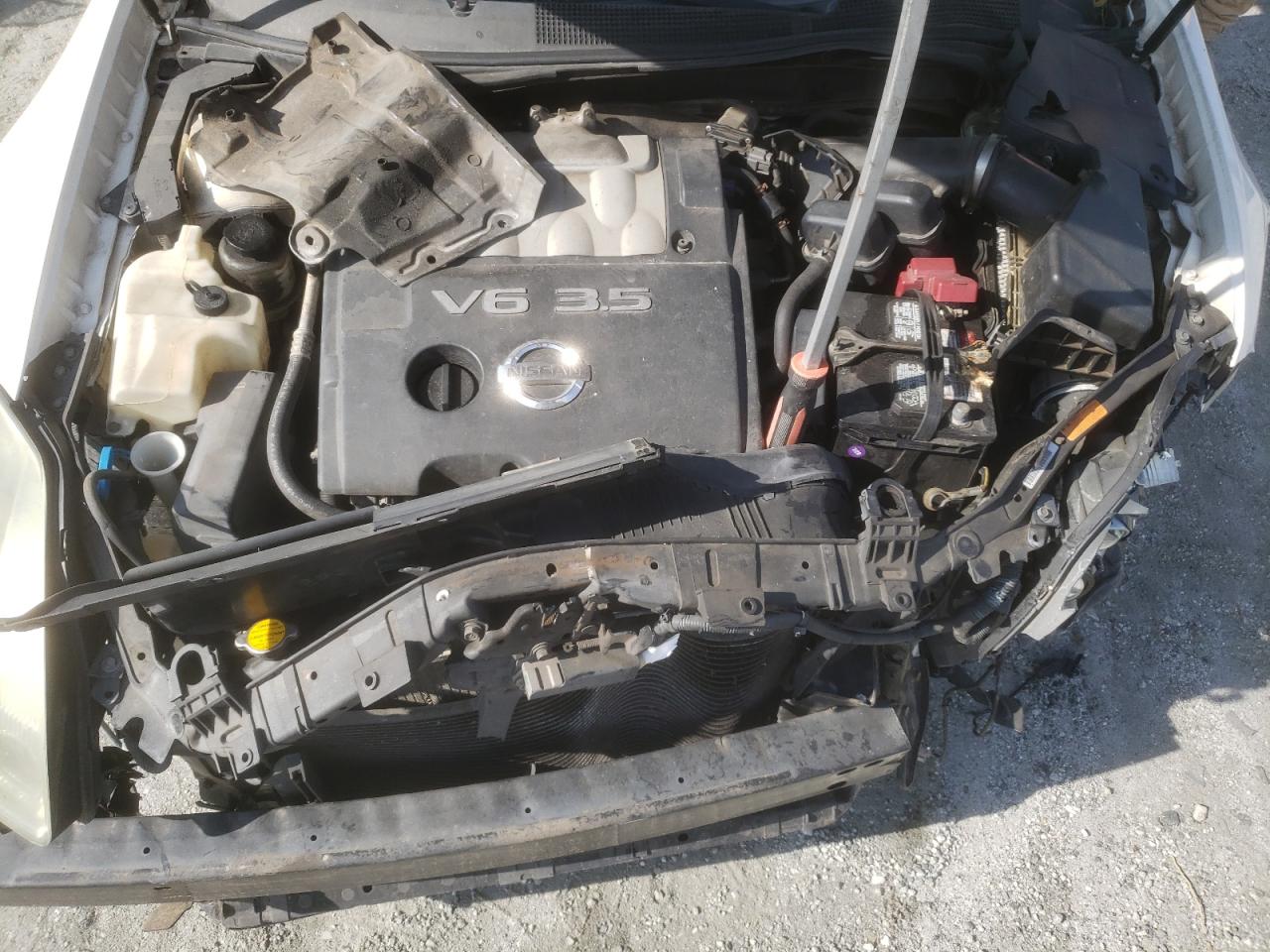 2004 Nissan Maxima Se VIN: 1N4BA41E14C844727 Lot: 65898965