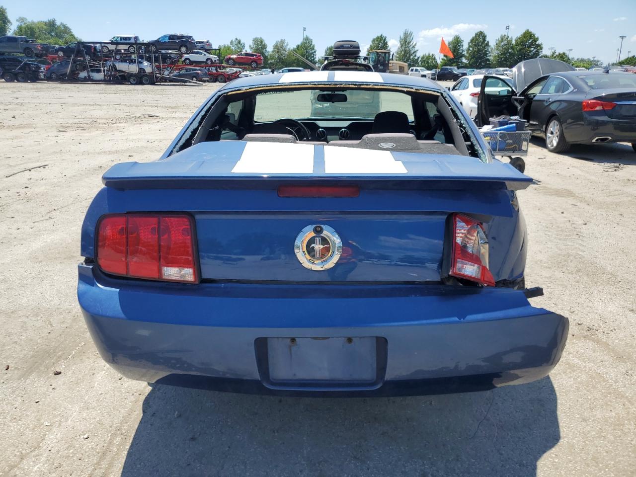 2008 Ford Mustang VIN: 1ZVHT80N785113251 Lot: 65640745