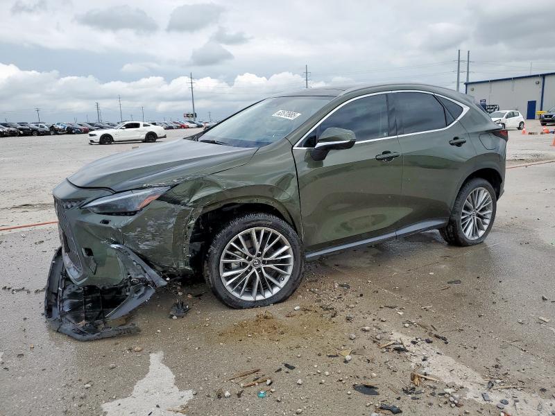 LEXUS NX 350H 2022
