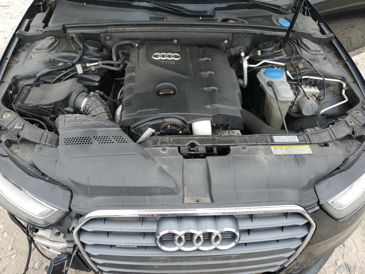 2013 Audi A4 Premium VIN: WAUBFAFL5DN013220 Lot: 62489885