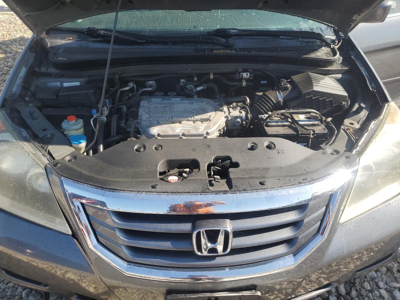 2010 Honda Odyssey Exl VIN: 5FNRL3H79AB106953 Lot: 62196755