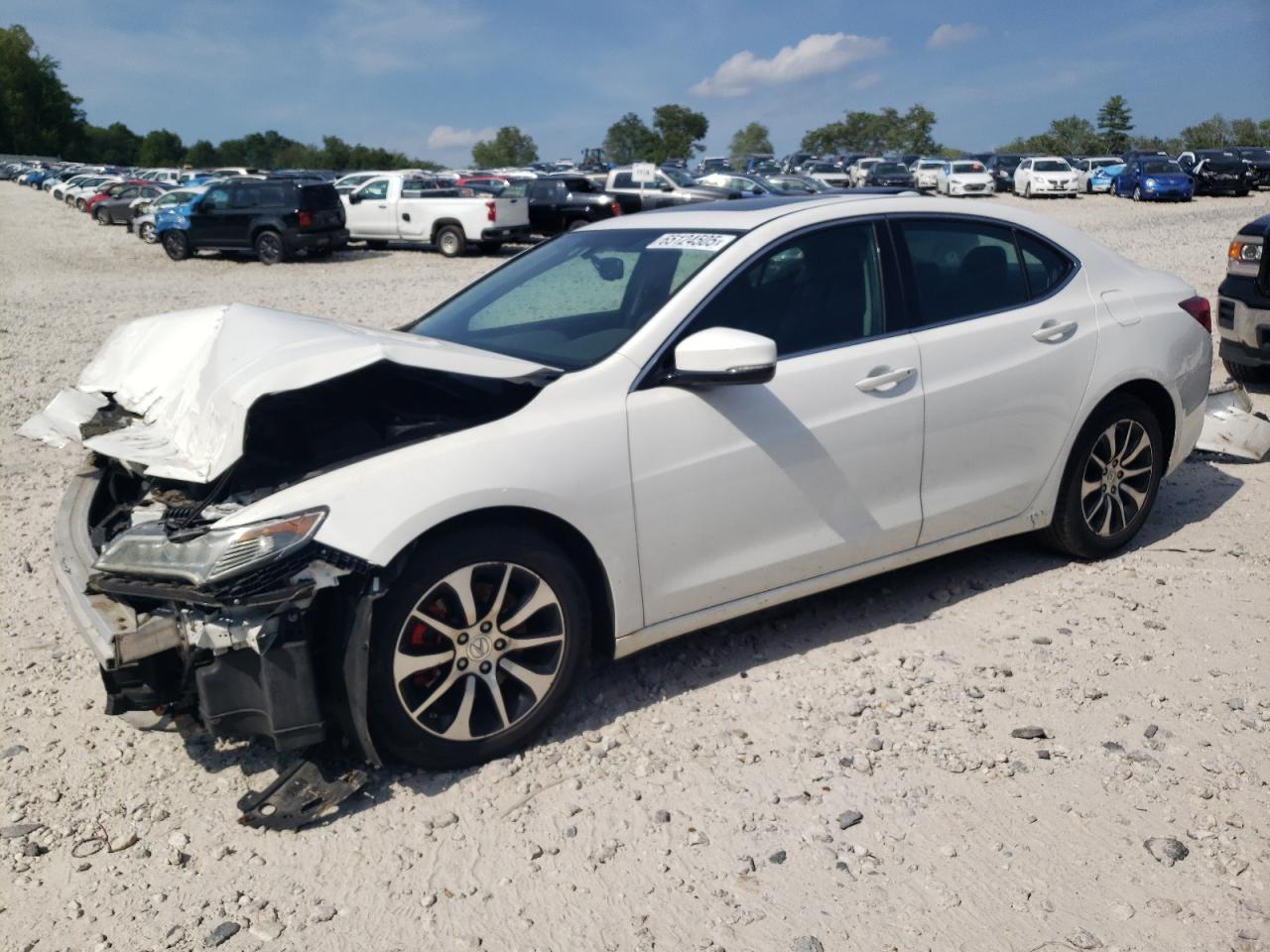 19uub1f31fa017459 19UUB1F31FA017459 2015 Acura Tlx