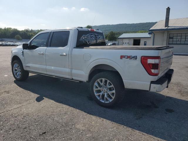  FORD F-150 2023 White