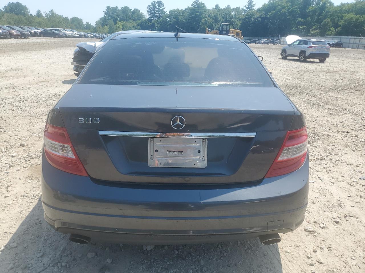 2010 Mercedes-Benz C 300 VIN: WDDGF5EB1AR130733 Lot: 67221705