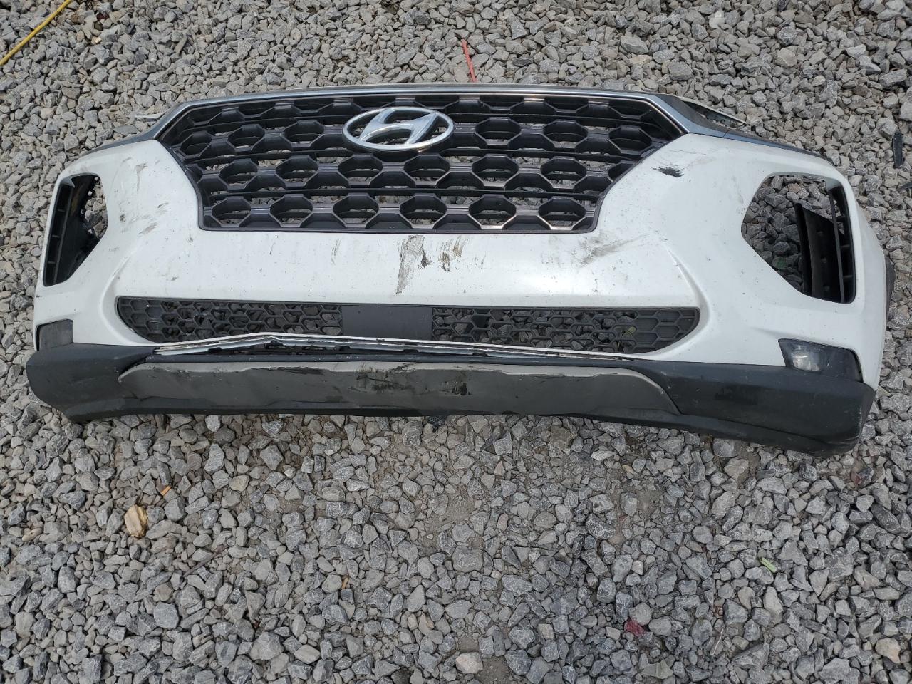 2019 Hyundai Santa Fe Limited VIN: 5NMS53AA1KH108309 Lot: 63513445