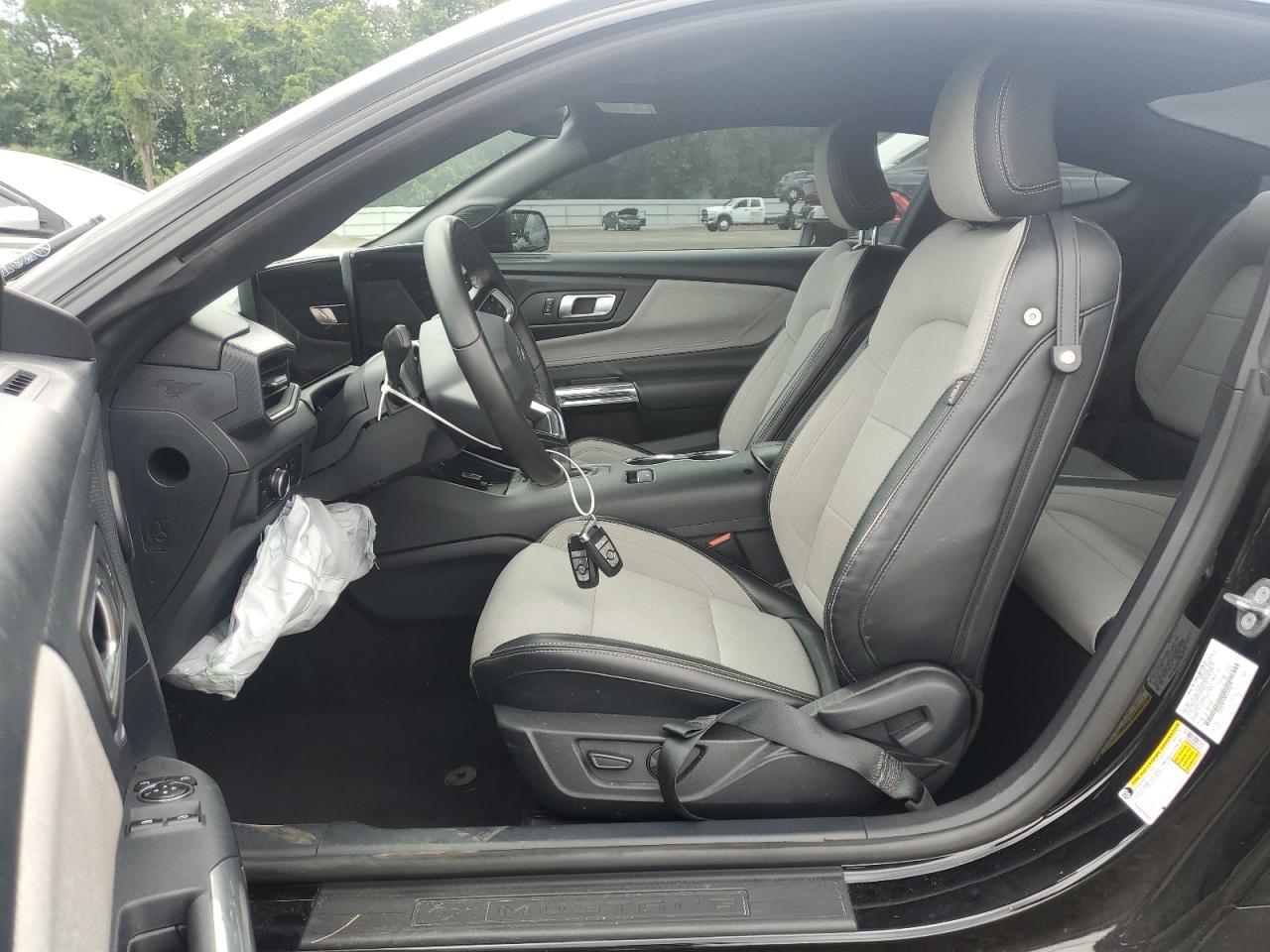 2024 Ford Mustang VIN: 1FA6P8TH8R5102674 Lot: 63160105