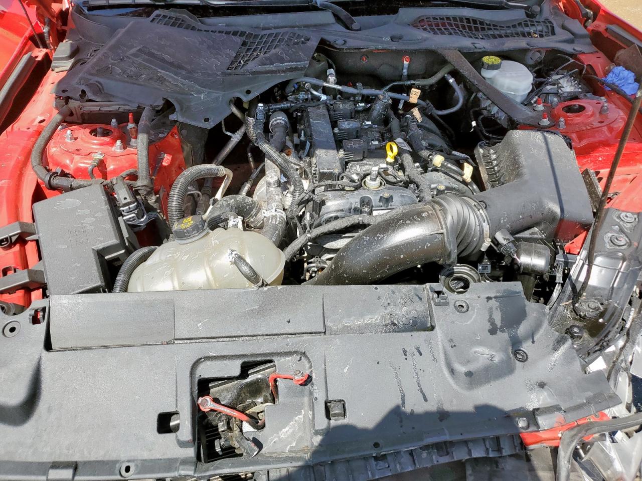 2022 Ford Mustang VIN: 1FATP8UH3N5124092 Lot: 66723135