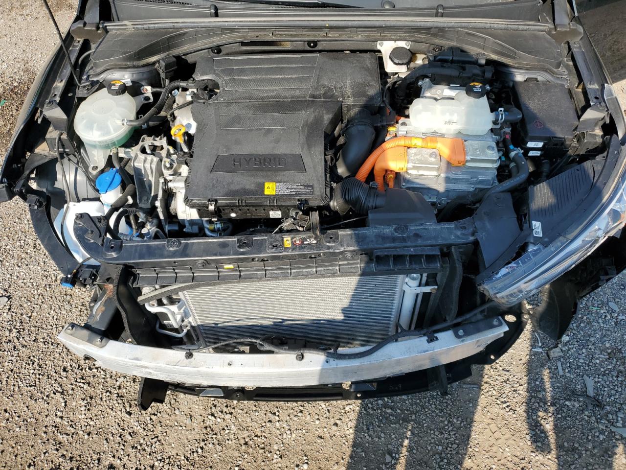 2020 Hyundai Ioniq Se VIN: KMHC75LC0LU218959 Lot: 62480955