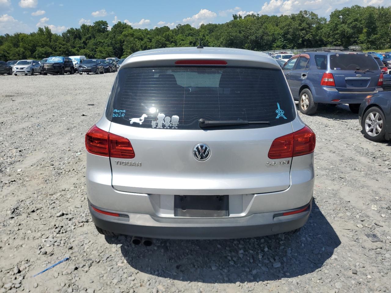 2014 Volkswagen Tiguan S VIN: WVGAV3AX3EW554474 Lot: 64546755