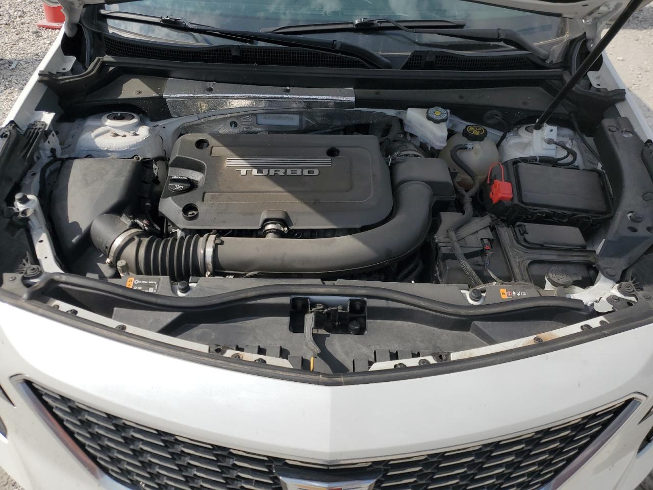 2019 Cadillac Xt4 Premium Luxury VIN: 1GYFZCR42KF209127 Lot: 62776175