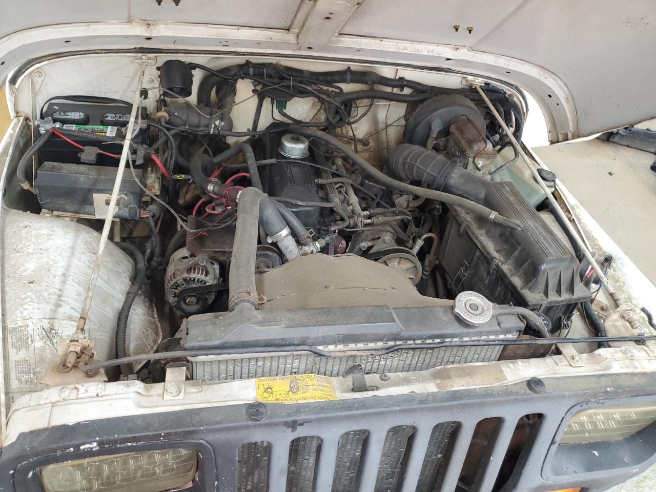 1994 Jeep Wrangler / Yj S VIN: 1J4FY19P0RP403497 Lot: 64902185
