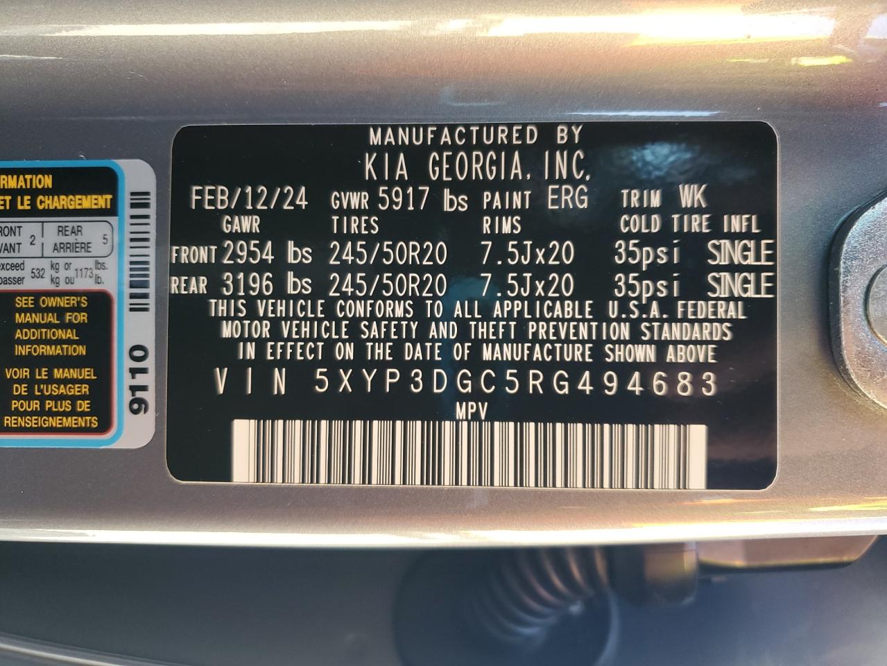 2024 Kia Telluride Ex VIN: 5XYP3DGC5RG494683 Lot: 63583895