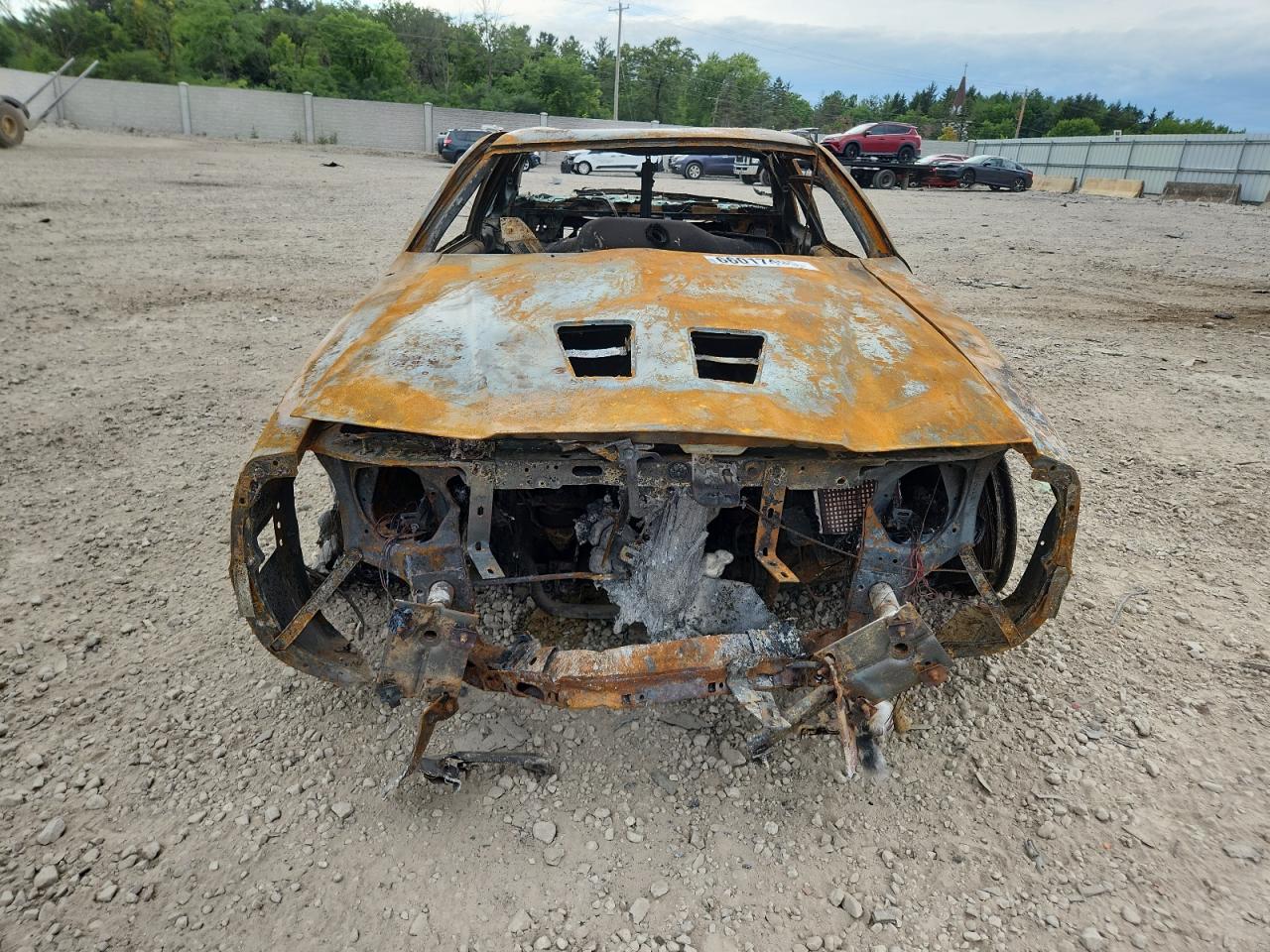 1987 Ford Thunderbird VIN: 1FABP64W7HH141124 Lot: 66017495