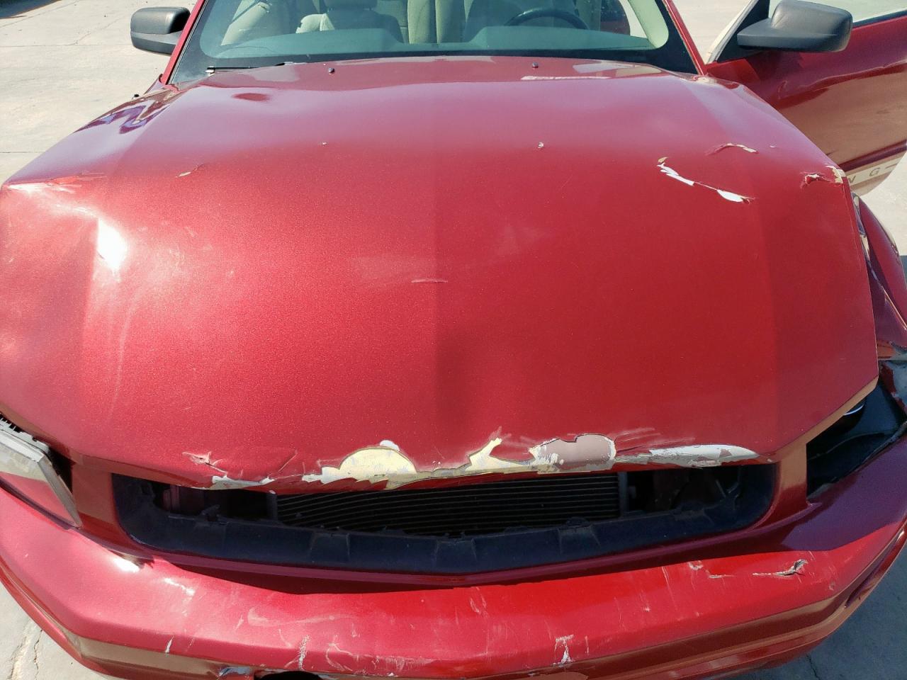 2009 Ford Mustang VIN: 1ZVHT80N395100627 Lot: 66710355