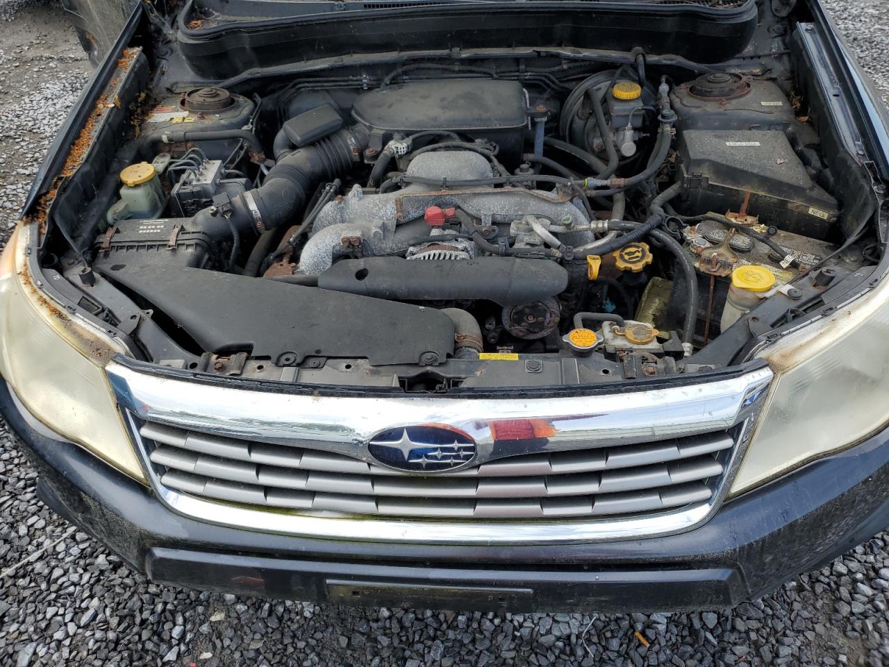 2010 Subaru Forester 2.5X Premium VIN: JF2SH6CC6AH736861 Lot: 63504085