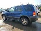 2007 FORD ESCAPE XLT   à vendre chez Copart ON - TORONTO
