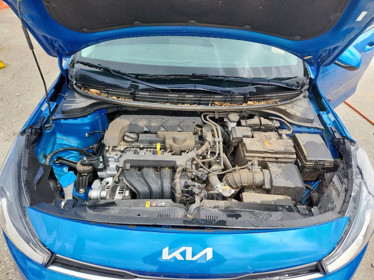 2022 Kia Rio Lx VIN: 3KPA24AD2NE491855 Lot: 64660485