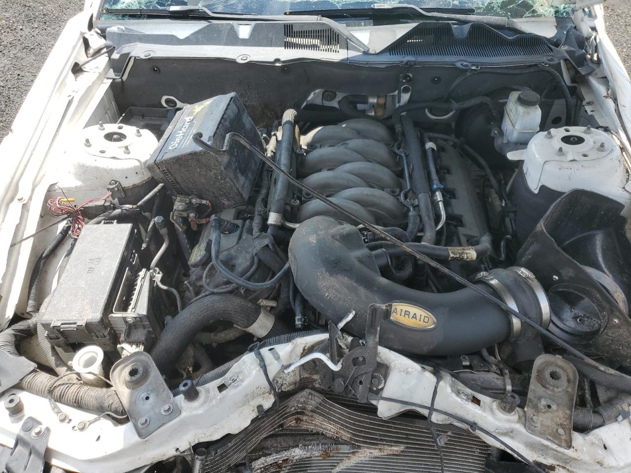 2013 Ford Mustang Gt VIN: 1ZVBP8CF4D5240368 Lot: 63395585