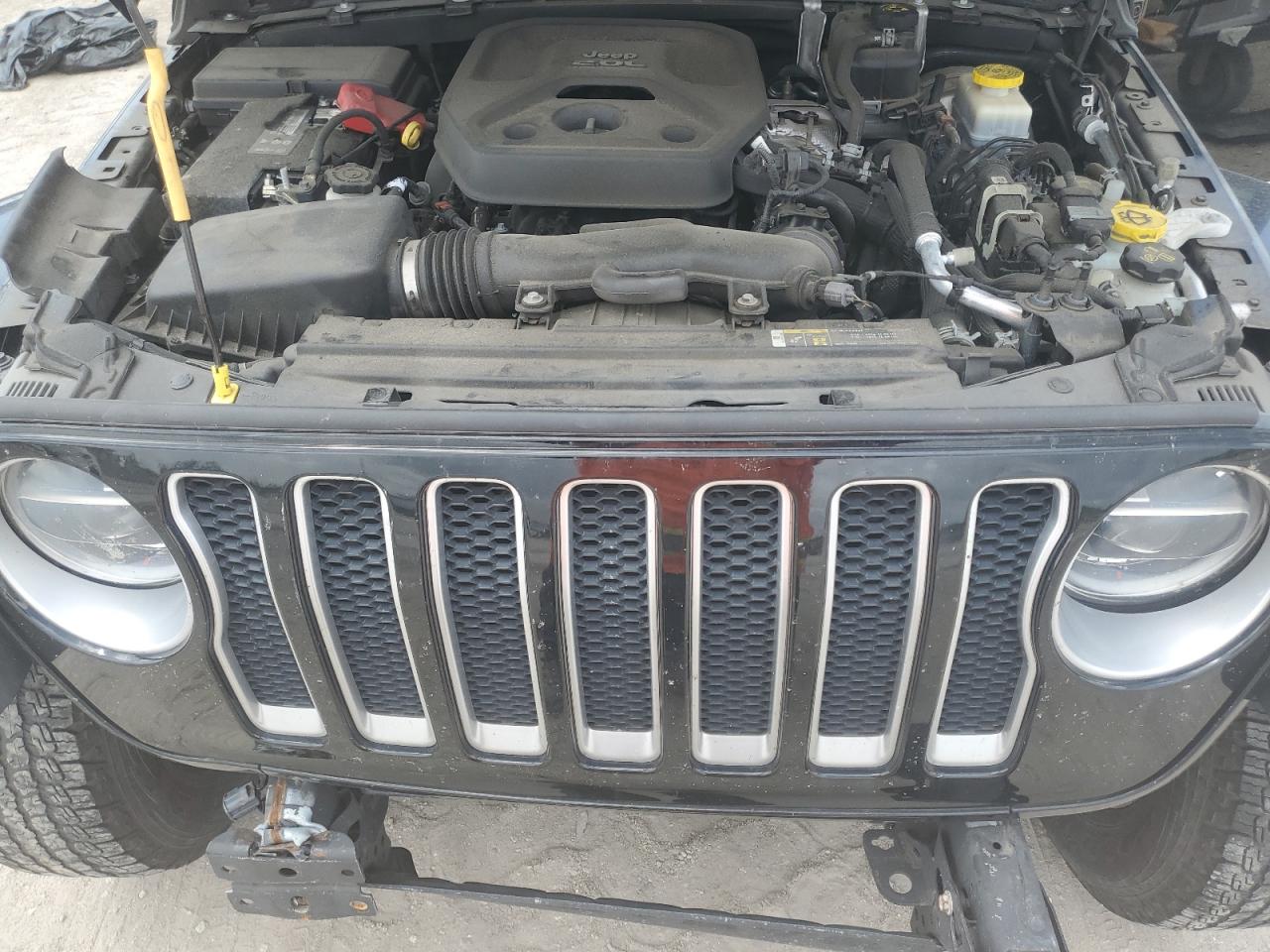 2019 Jeep Wrangler Unlimited Sahara VIN: 1C4HJXENXKW501202 Lot: 64070915