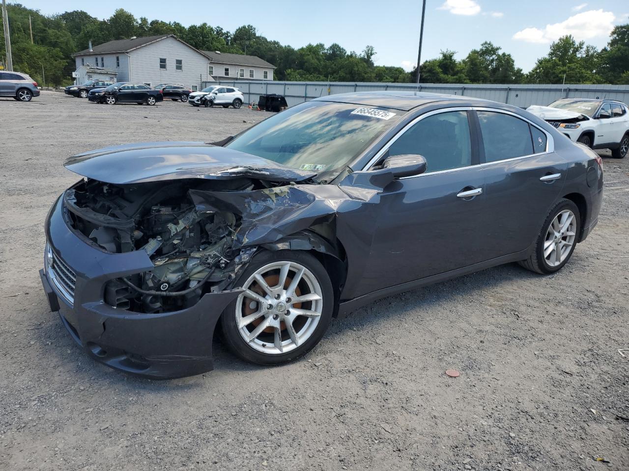 2009 Nissan Maxima S VIN: 1N4AA51E09C844646 Lot: 66545575