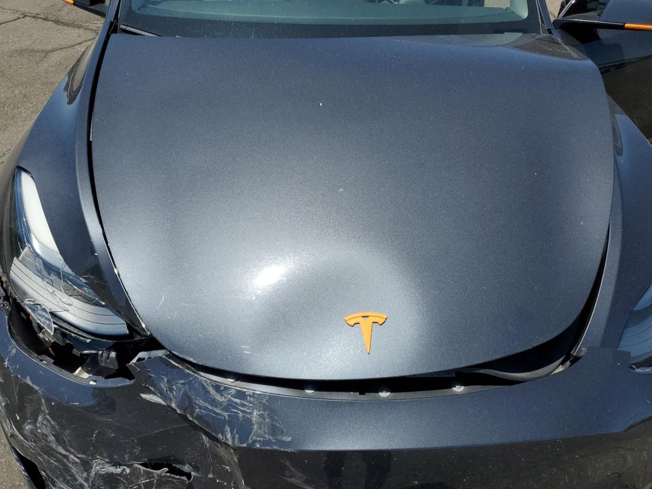 2024 Tesla Model Y VIN: 7SAYGDEE2RF059384 Lot: 63147645