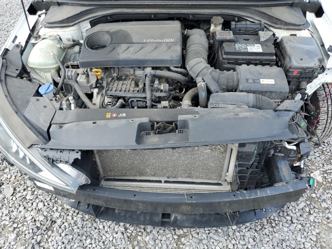 2019 Hyundai Elantra Eco VIN: 5NPD94LA7KH477713 Lot: 63272495
