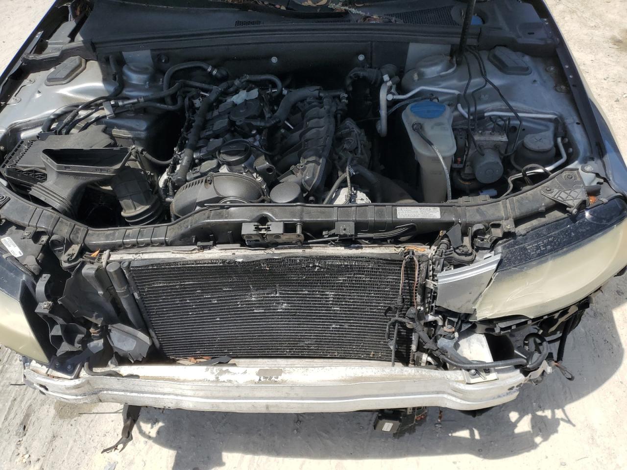 2010 Audi A4 Premium VIN: WAUAFAFL6AN020586 Lot: 65749875