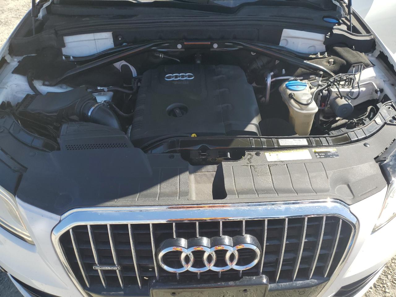 2013 Audi Q5 Premium Plus VIN: WA1LFAFP9DA046197 Lot: 65804205