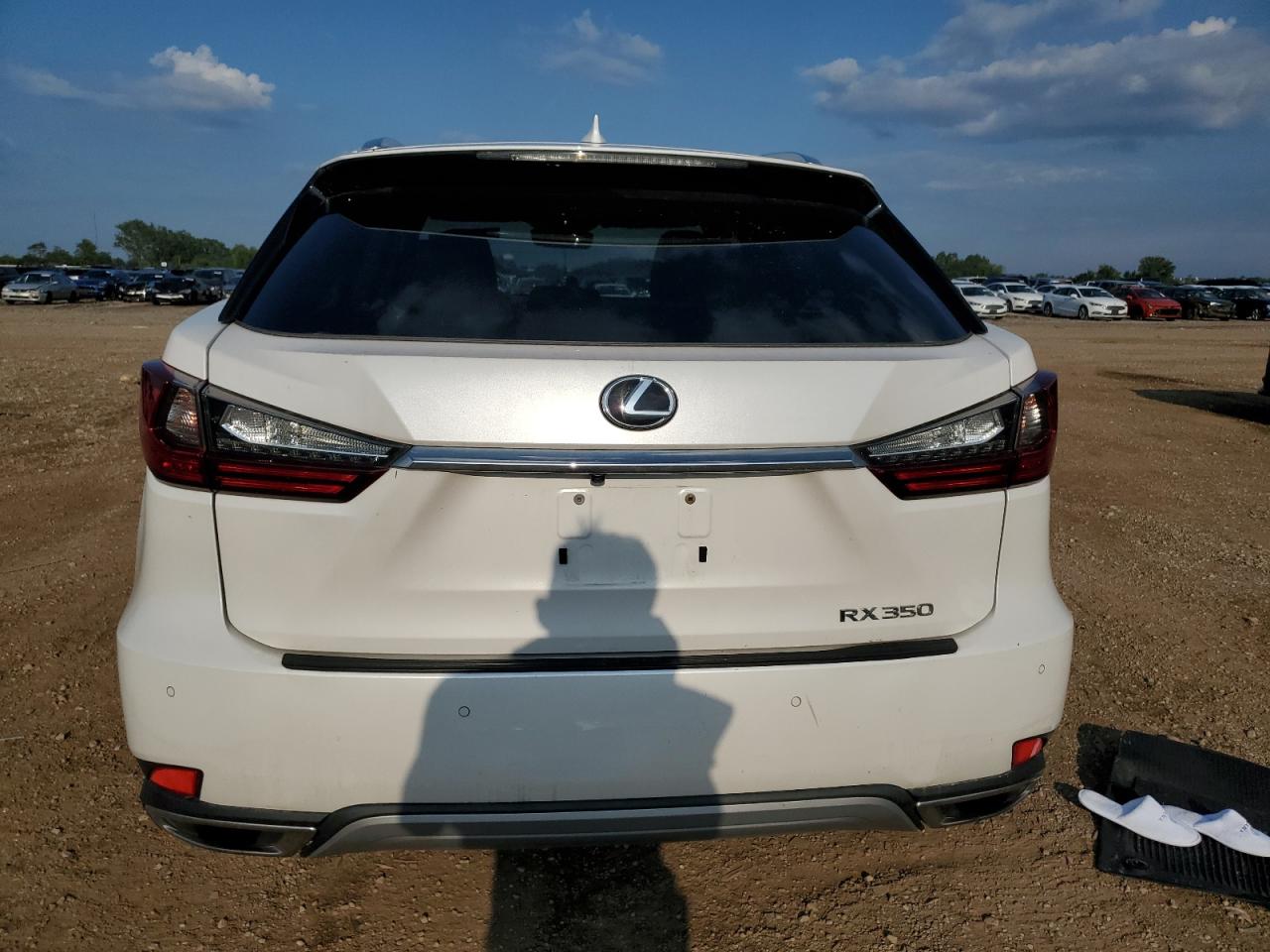 2020 Lexus Rx 350 VIN: 2T2HZMDAXLC230198 Lot: 64147045