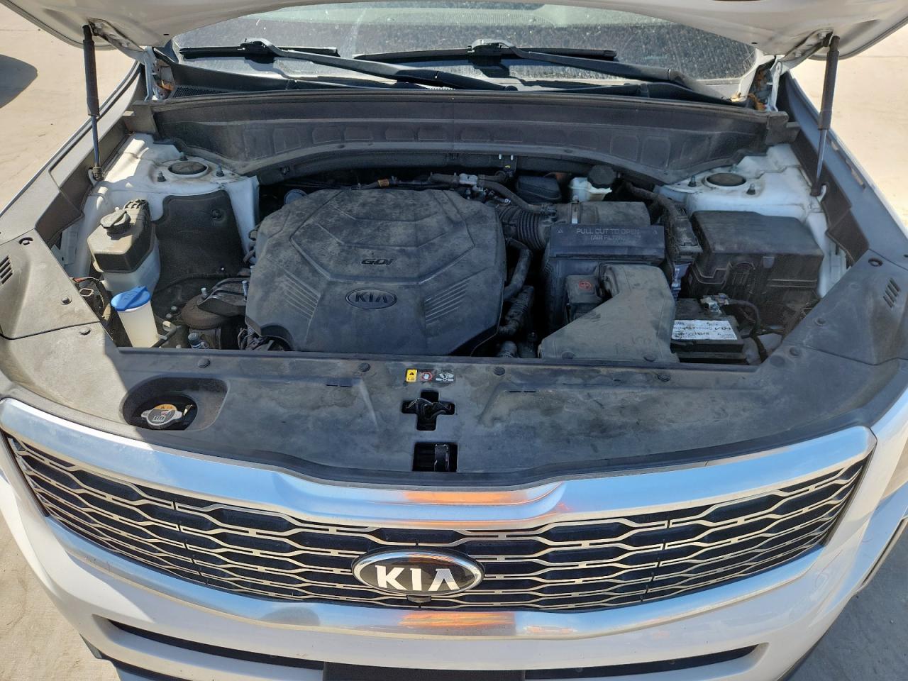 2020 Kia Telluride Sx VIN: 5XYP54HC9LG058838 Lot: 62091885
