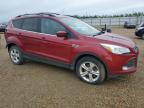 2013 FORD ESCAPE SE   for sale at Copart AB - EDMONTON