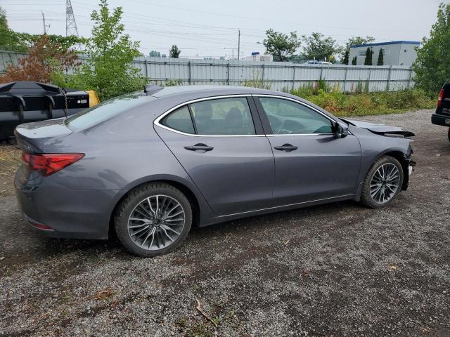 Sedans ACURA TLX 2017 Gray